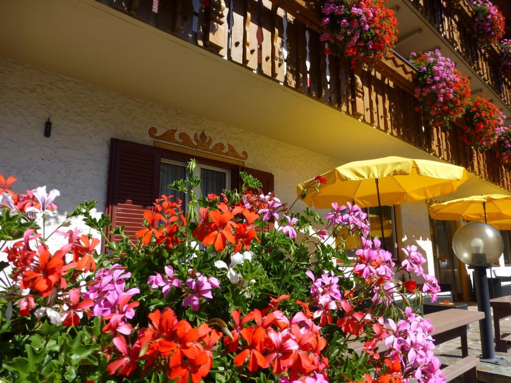 Bed and Breakfast Garni Helfer Dobbiaco Zewnętrze zdjęcie